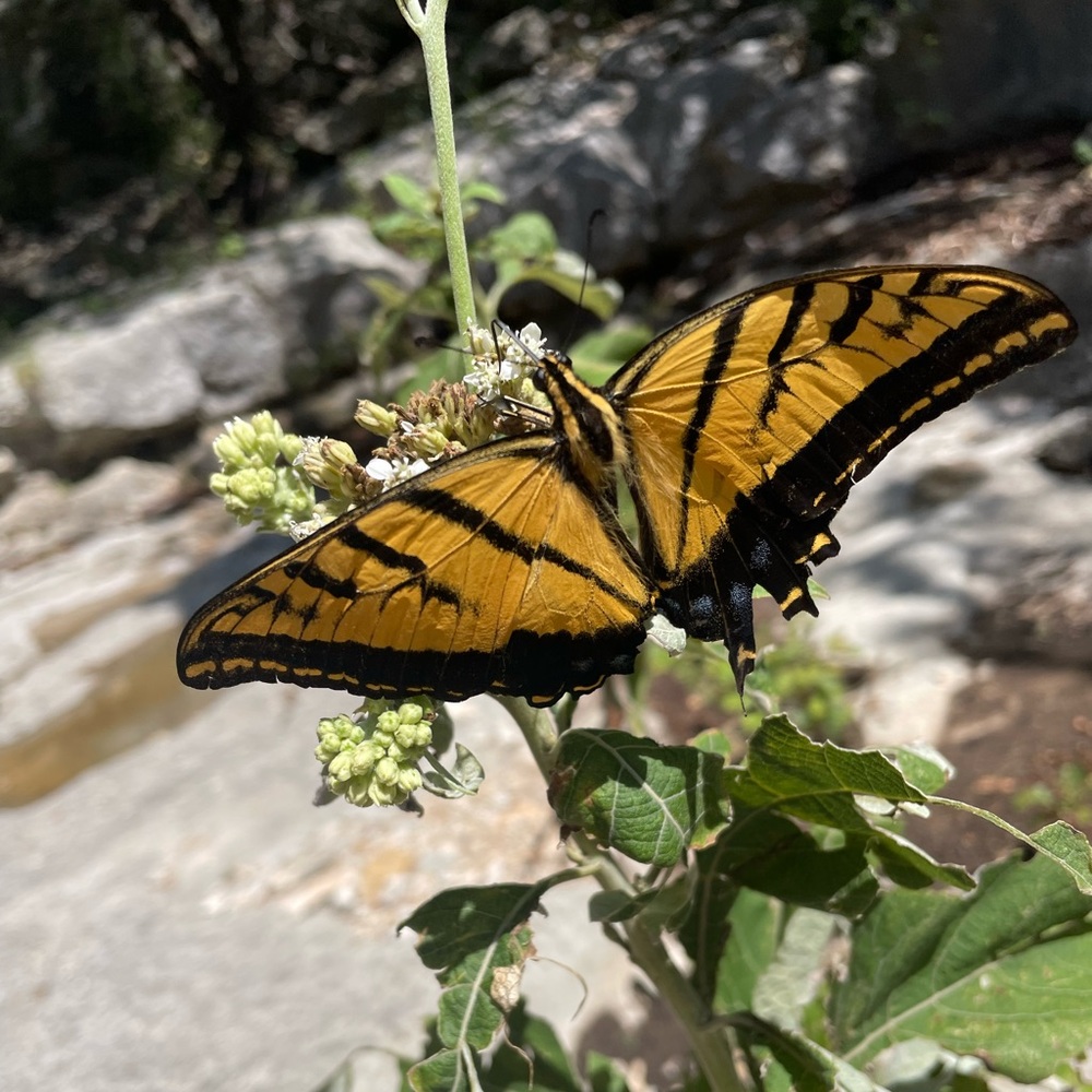 Meet your Posher, A. S.